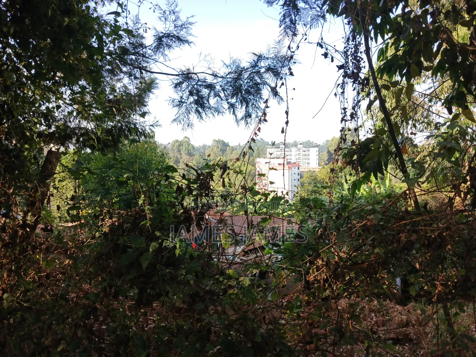 50 by 100ft  Plot Around the Kikuyu Road Near Shell Petrol Station