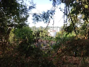 50 by 100ft  Plot Around the Kikuyu Road Near Shell Petrol Station
