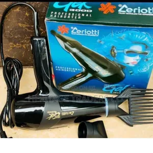 Ceriotti Hair Dryer Blow Dry 3000 Straightener-Black