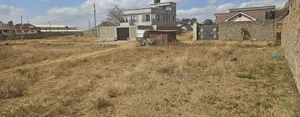 Tola Plots