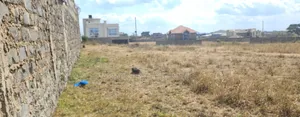 Tola Plots