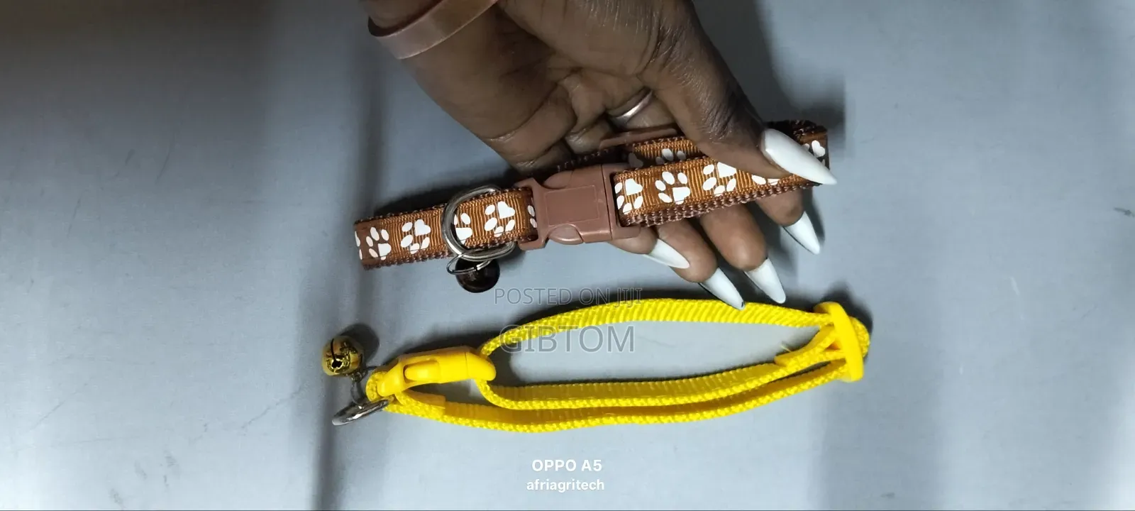 Cat Collar