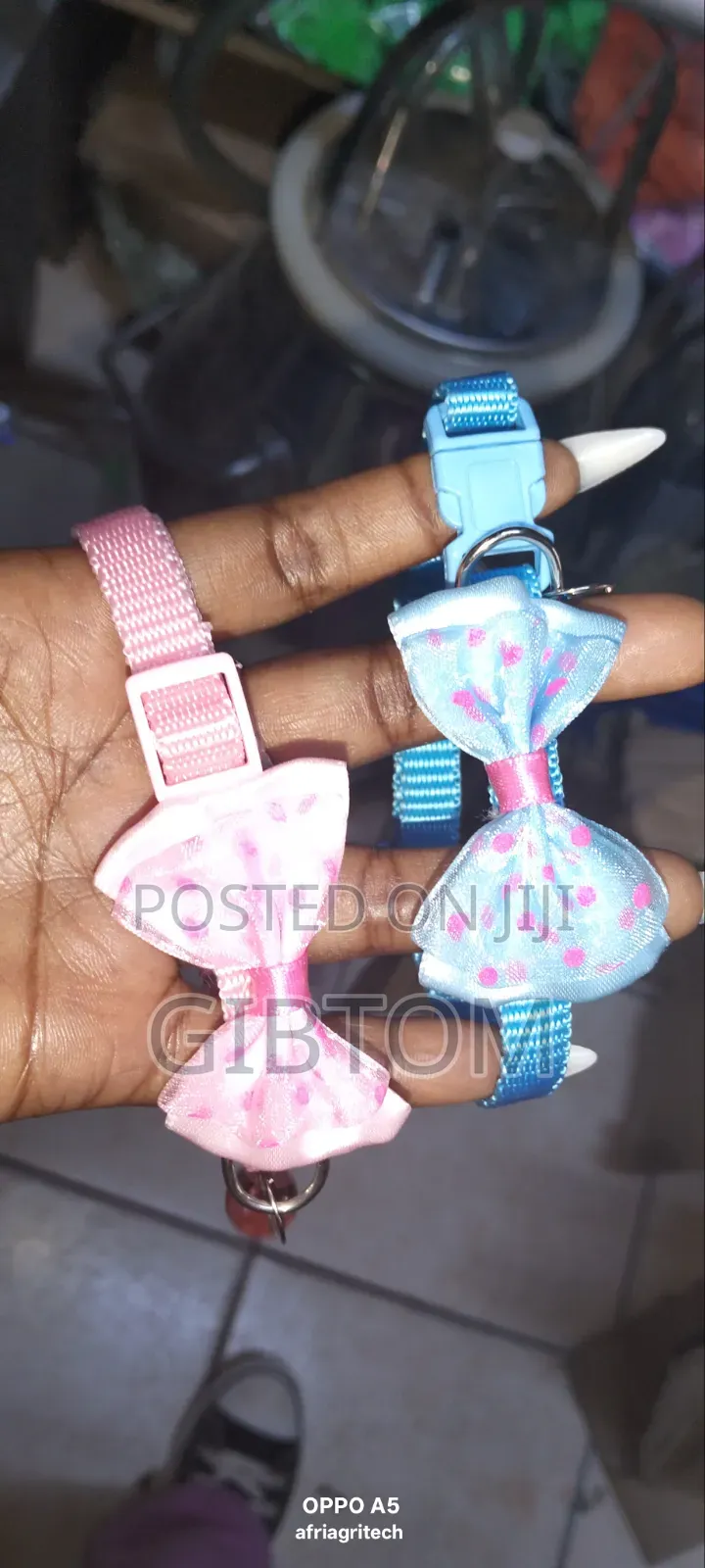 Cat Collar With Bow