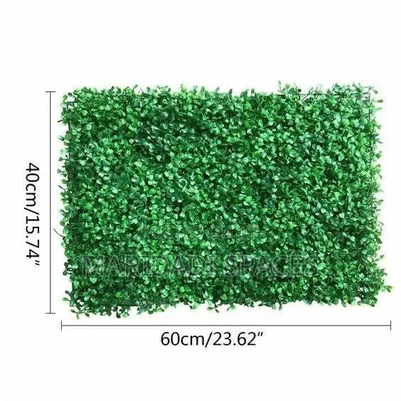 Premium Boxwood Wall Hedges – Elegant Greenery for Any Space