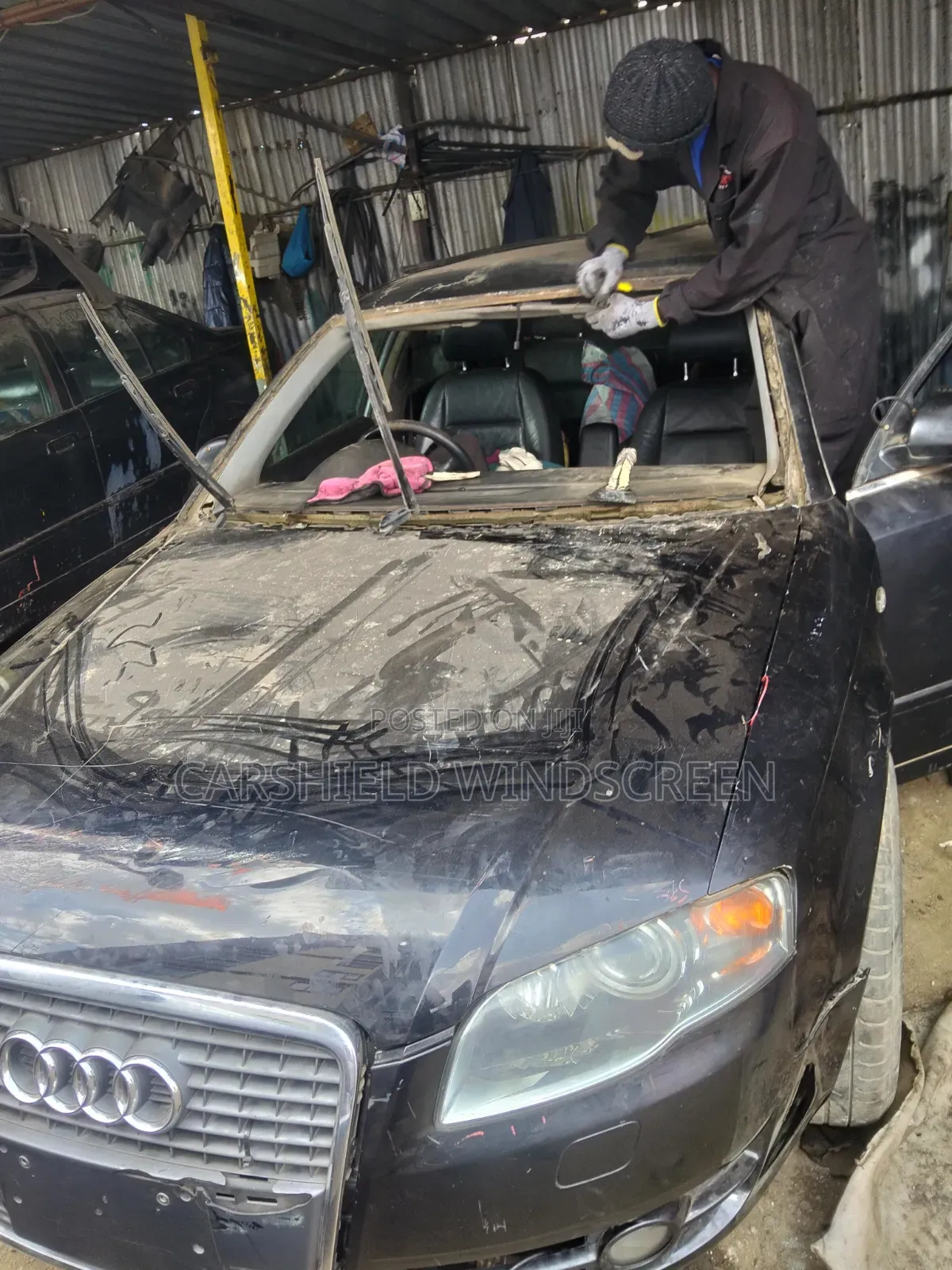 Carshield Windscreen