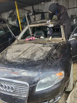 Carshield Windscreen