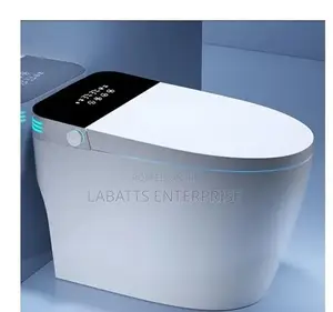 Bolesi Smart Toilet