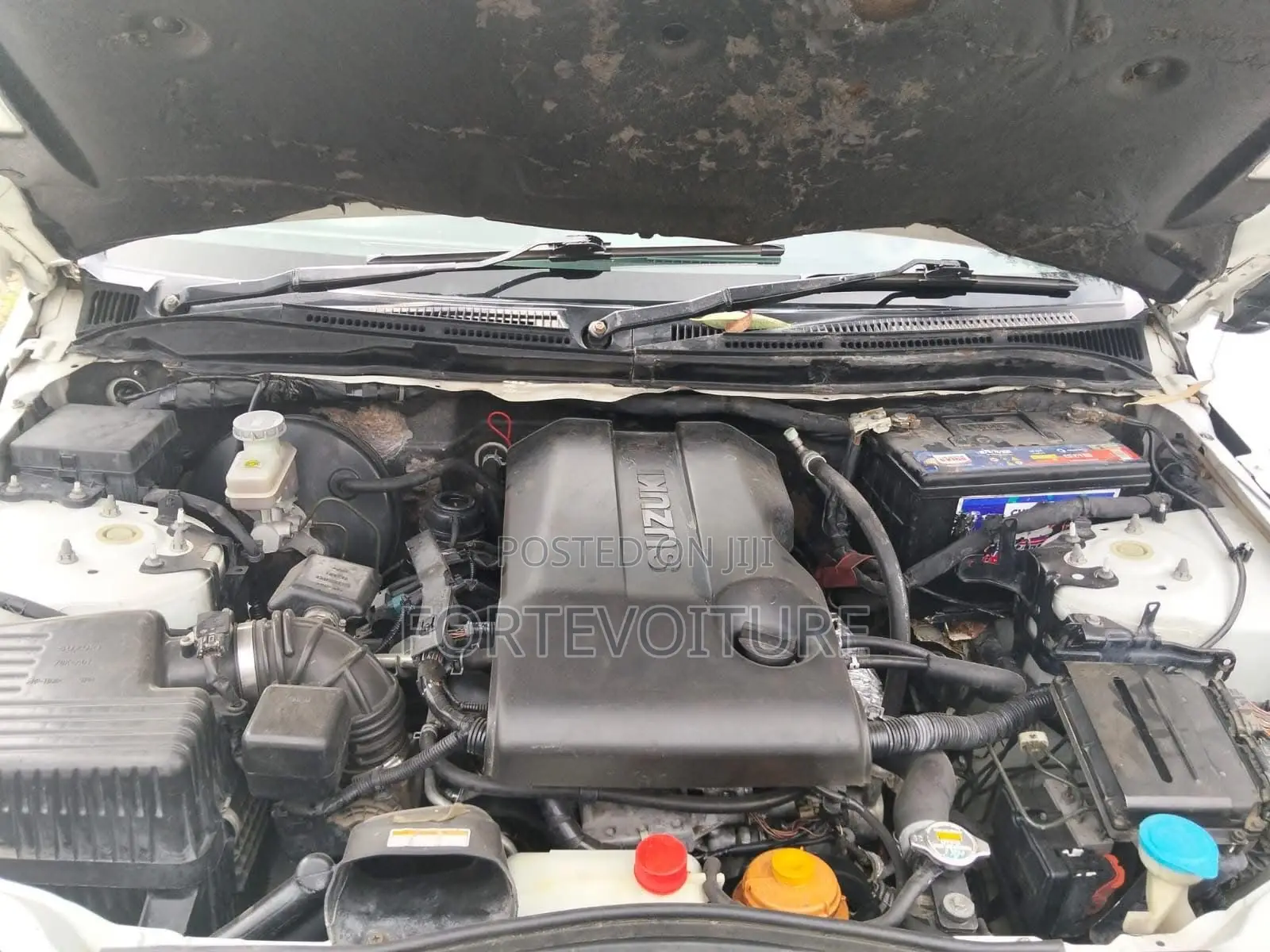 Suzuki Escudo 2013 White