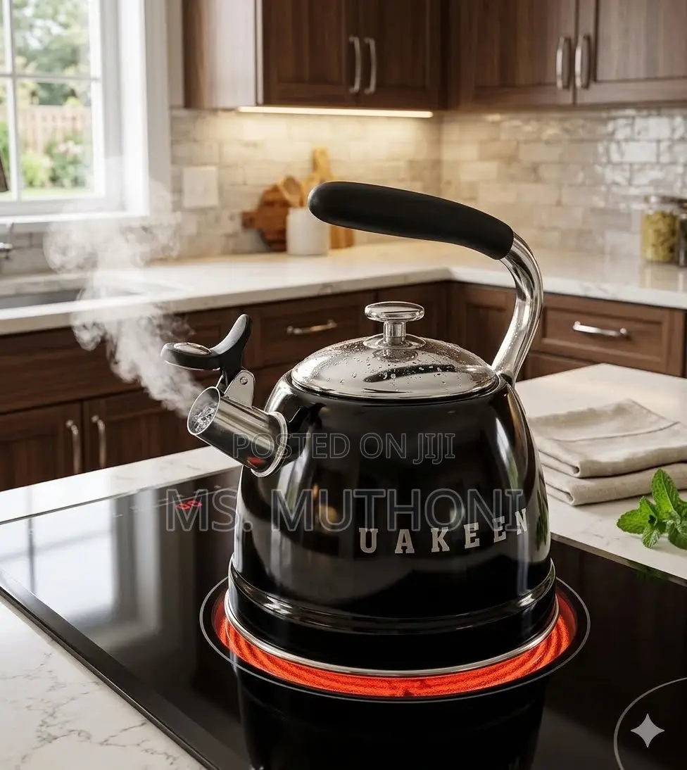🖤 Induction-Compatible Retro Kitchenware Kettle