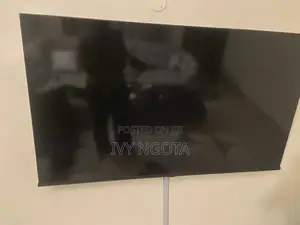 55’ Hisense Television