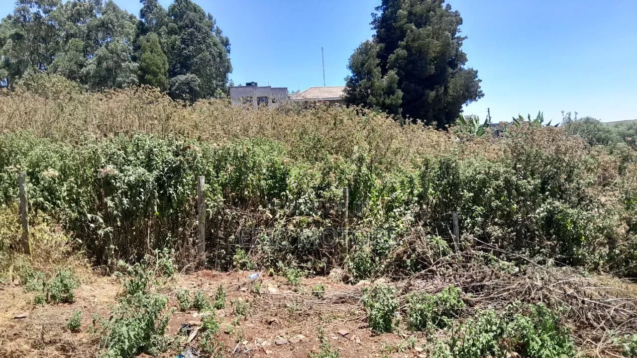 1 Acre Land in Kiboko for Sale
