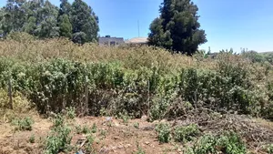 1 Acre Land in Kiboko for Sale