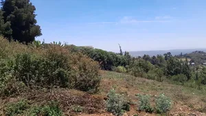 1 Acre Land in Kiboko for Sale