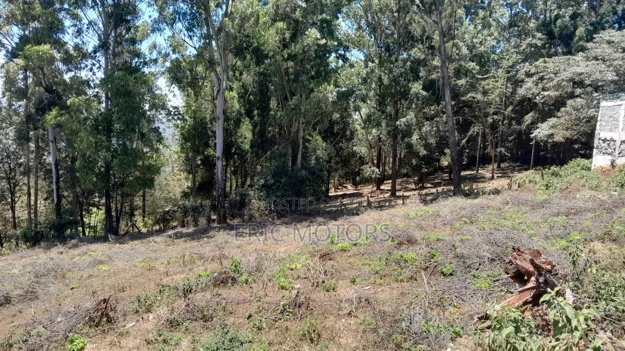 1 Acre Land in Kiboko for Sale