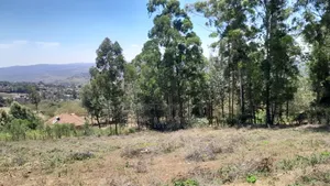 1 Acre Land in Kiboko for Sale