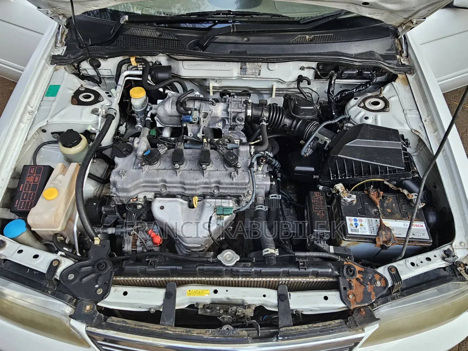 Nissan Sunny 2003 White