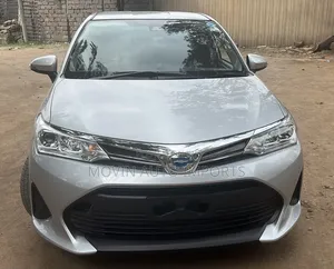 Toyota Corolla Fielder 2019 Silver