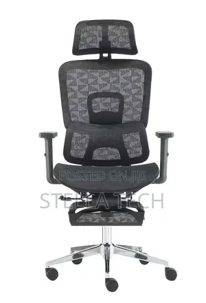 Orthopedics Executive Ergonomic Chair With Headrest & Footrest