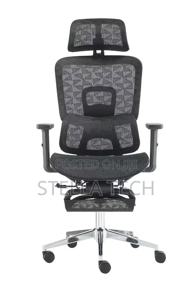 Orthopedics Executive Ergonomic Chair With Headrest & Footrest