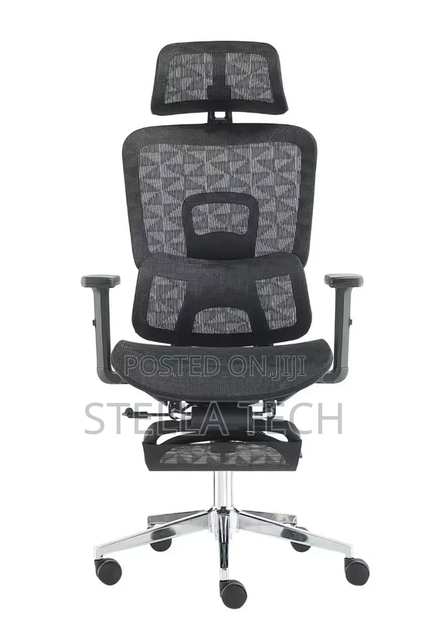 Orthopedics Executive Ergonomic Chair With Headrest & Footrest