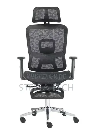 Orthopedics Executive Ergonomic Chair With Headrest & Footrest