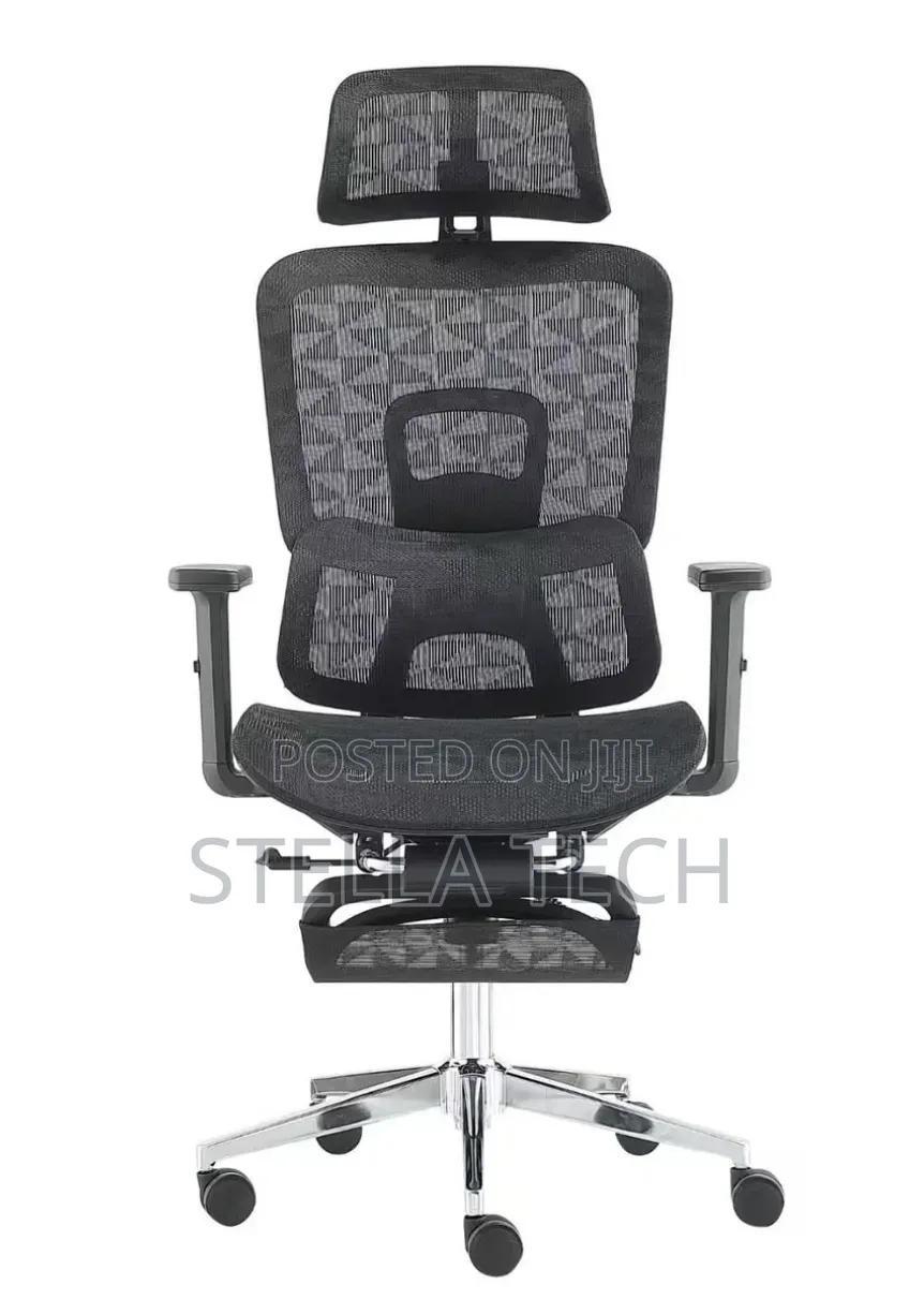 Orthopedics Executive Ergonomic Chair With Headrest & Footrest