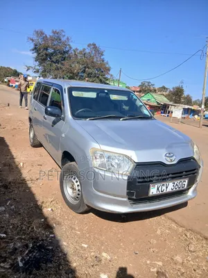 Toyota Probox 2014 Silver