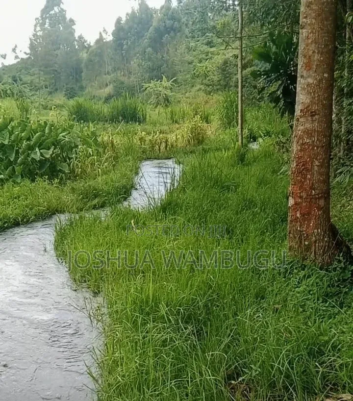 3.5 Acres for Sale