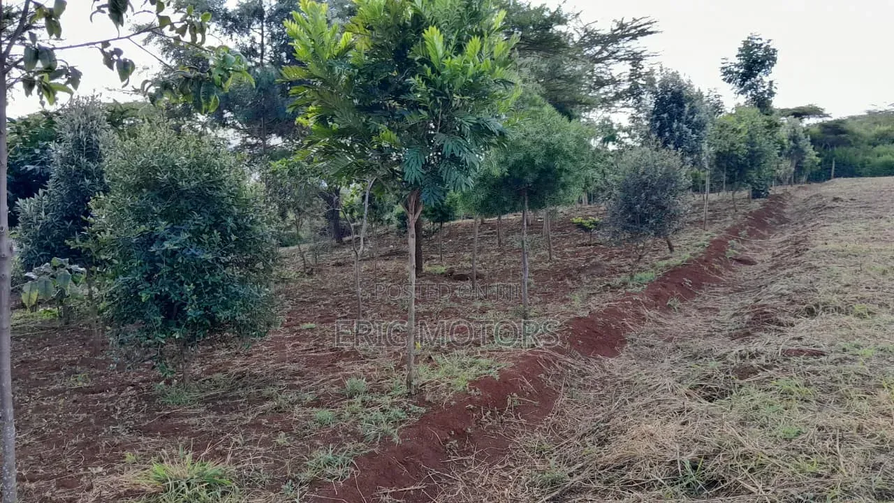 5 Acres Land in Matasia Ngong