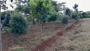 5 Acres Land in Matasia Ngong