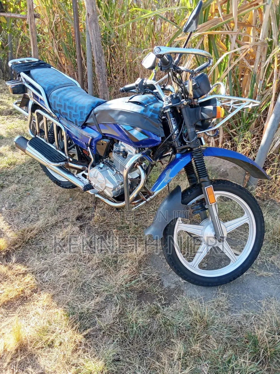 Ranger 2021 Blue