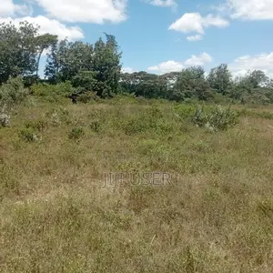 Plots for Sale in Naivasha Karai Area