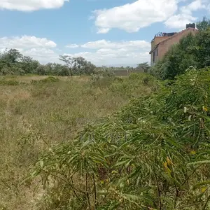 Plots for Sale in Naivasha Karai Area