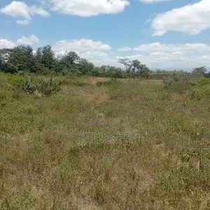 Plots for Sale in Naivasha Karai Area