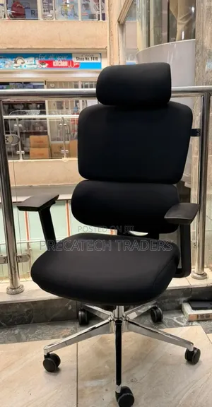 Premium Managerial Ergonomic Office Chair