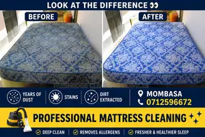 Professional Sofa Cleaning Services – Mombasa
