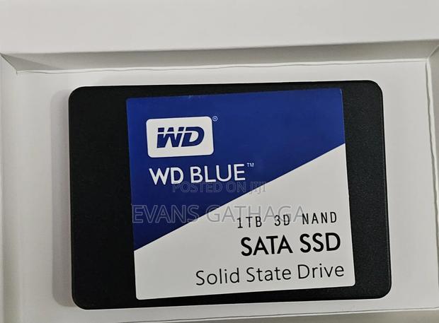 Wd Blue 1tb Sata III SSD – 560mb/S – Wds100t2b0a