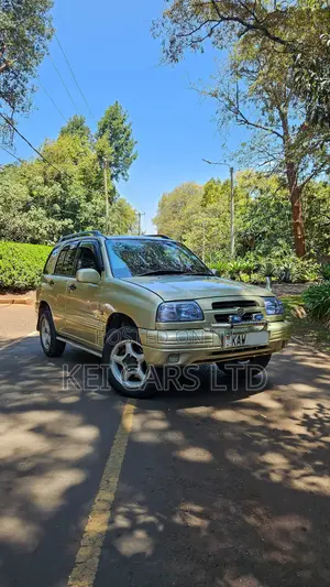 Suzuki Escudo 2000 Gold