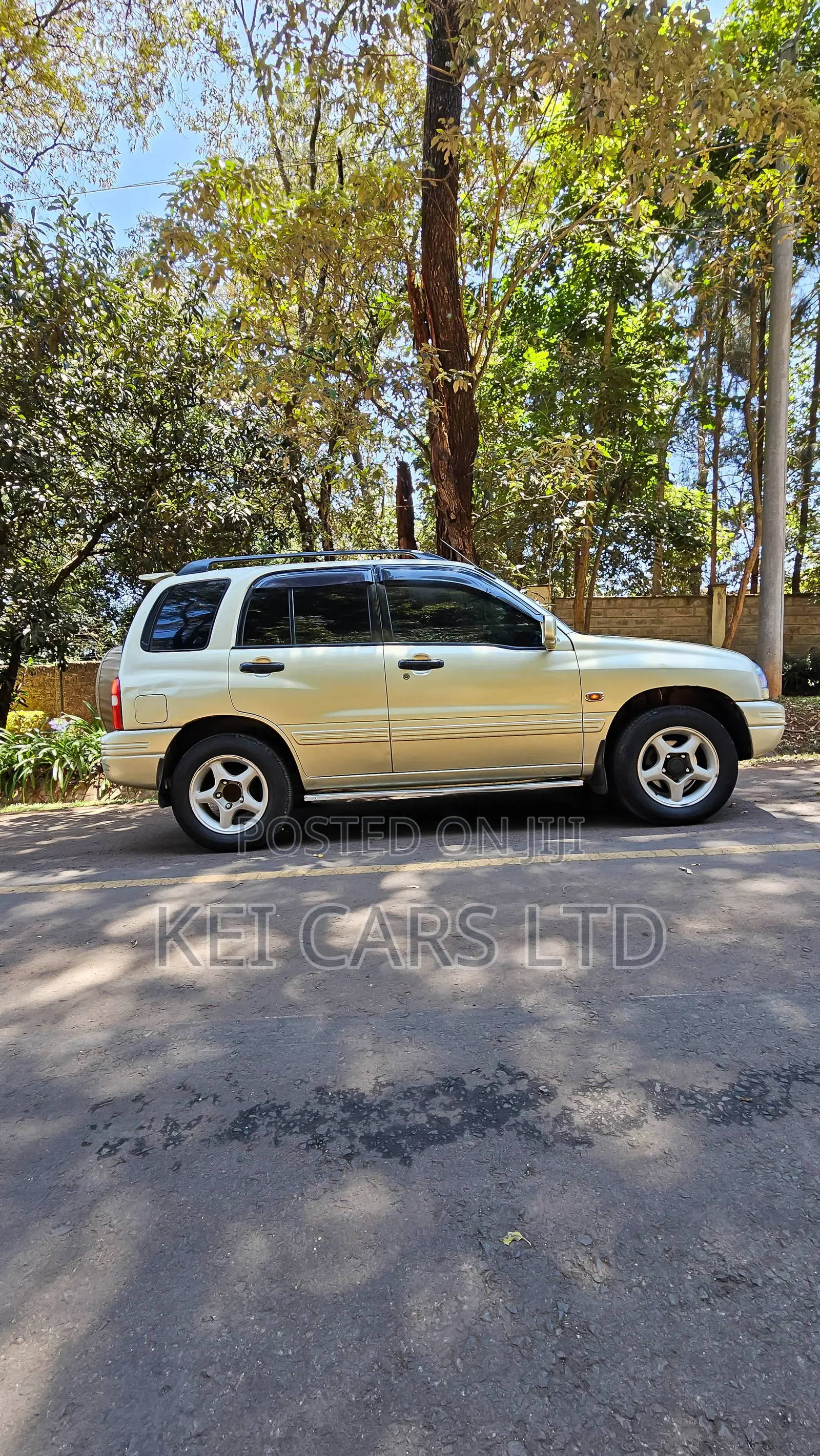 Suzuki Escudo 2000 Gold