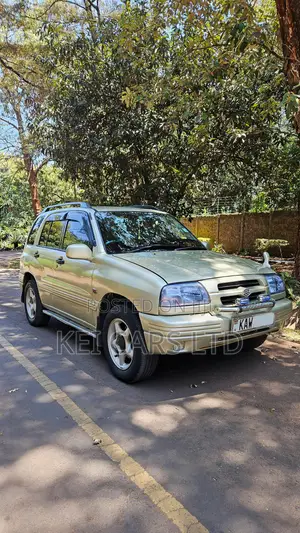 Suzuki Escudo 2000 Gold