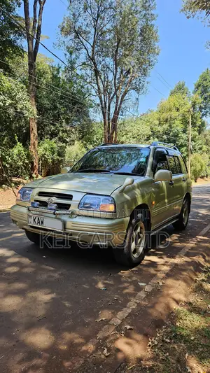 Suzuki Escudo 2000 Gold