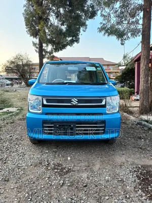 Suzuki Wagon R 2019 Blue