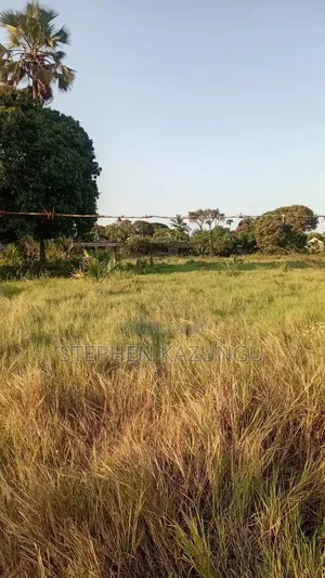 Beach Side 1/4 Acre Plot @ Kinondo, 400 Metres From the Tarmac Road.
