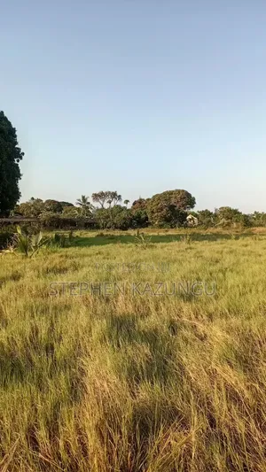 Beach Side 1/4 Acre Plot @ Kinondo, 400 Metres From the Tarmac Road.