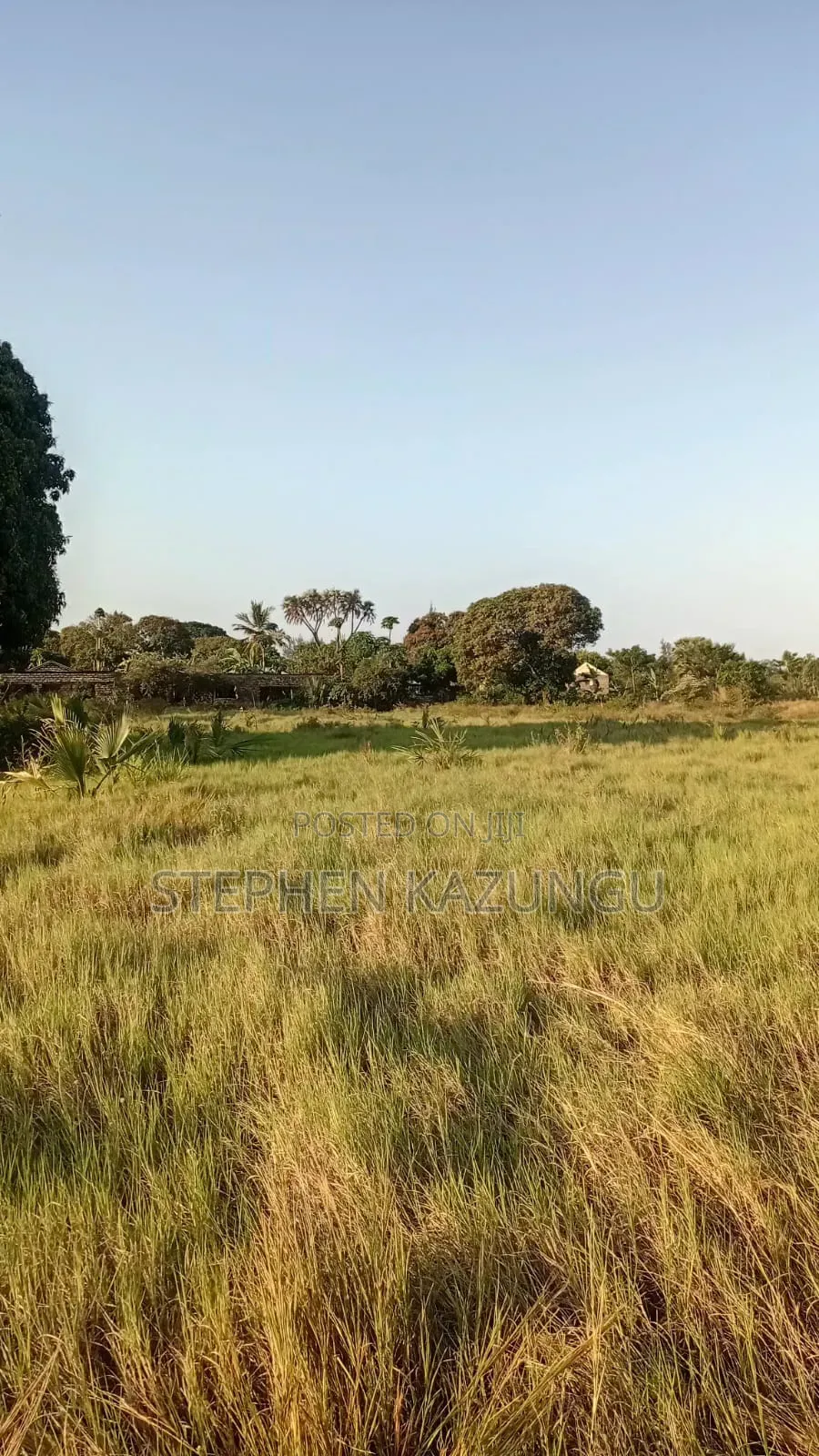 Beach Side 1/4 Acre Plot @ Kinondo, 400 Metres From the Tarmac Road.