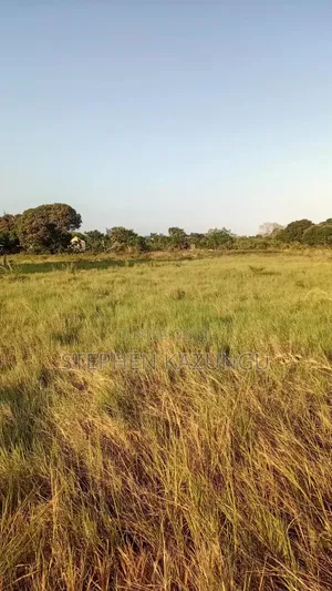 Beach Side 1/4 Acre Plot @ Kinondo, 400 Metres From the Tarmac Road.
