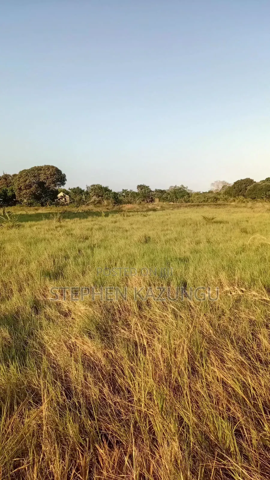Beach Side 1/4 Acre Plot @ Kinondo, 400 Metres From the Tarmac Road.