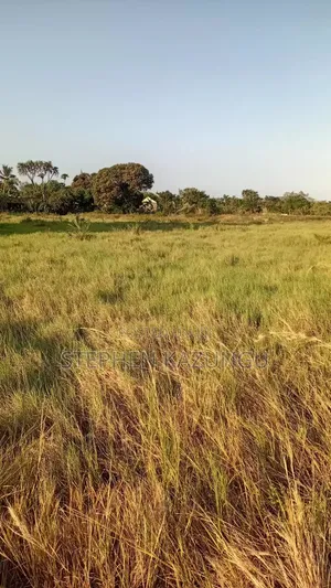 Beach Side 1/4 Acre Plot @ Kinondo, 400 Metres From the Tarmac Road.