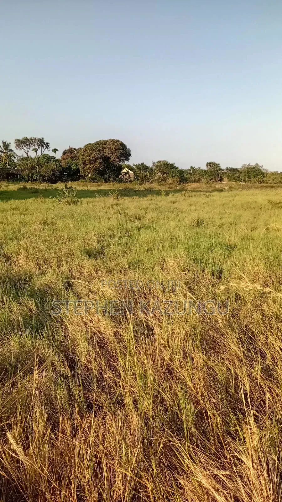 Beach Side 1/4 Acre Plot @ Kinondo, 400 Metres From the Tarmac Road.