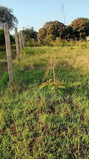 Beach Side 1/4 Acre Plot @ Kinondo, 400 Metres From the Tarmac Road.
